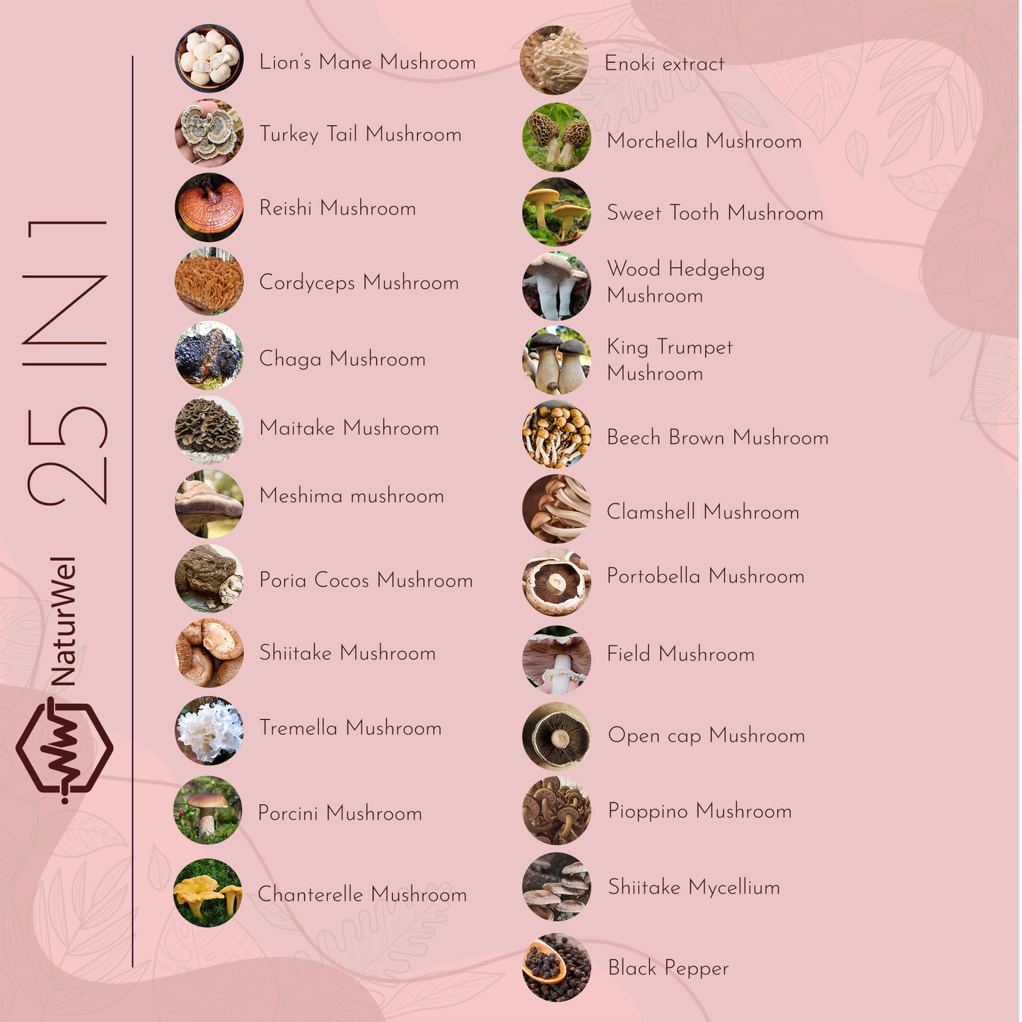 NaturShrooms - 25 in 1 with Turkey Tail,Lions Mane,Reishi & Mushroom Blend